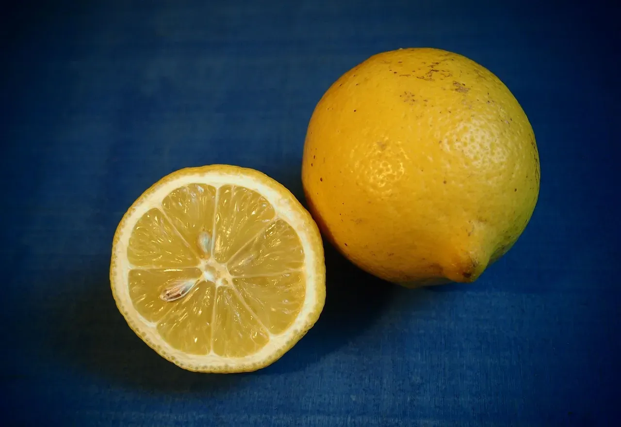 8. Lemon Wedges and Garnishes (Image Credits: Pixabay)