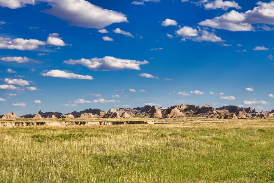 South Dakota (Image Credits: Pexels)