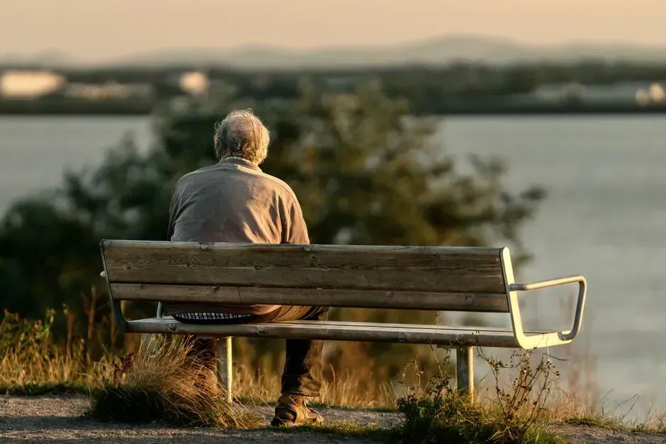 What the loneliness data says about why this worked at all (Image Credits: Pexels)