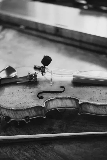 6. Vintage Musical Instruments (Image Credits: Pexels)