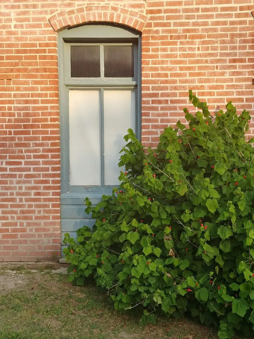 Transom Windows (Image Credits: Unsplash)