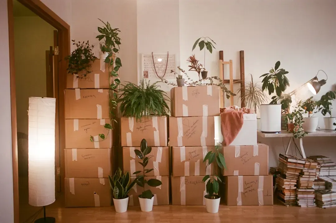 "I just haven't gotten around to unpacking" (Image Credits: Unsplash)
