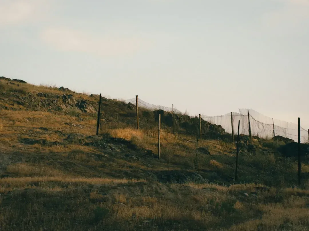 8. Encroaching on Property Boundaries (Image Credits: Unsplash)