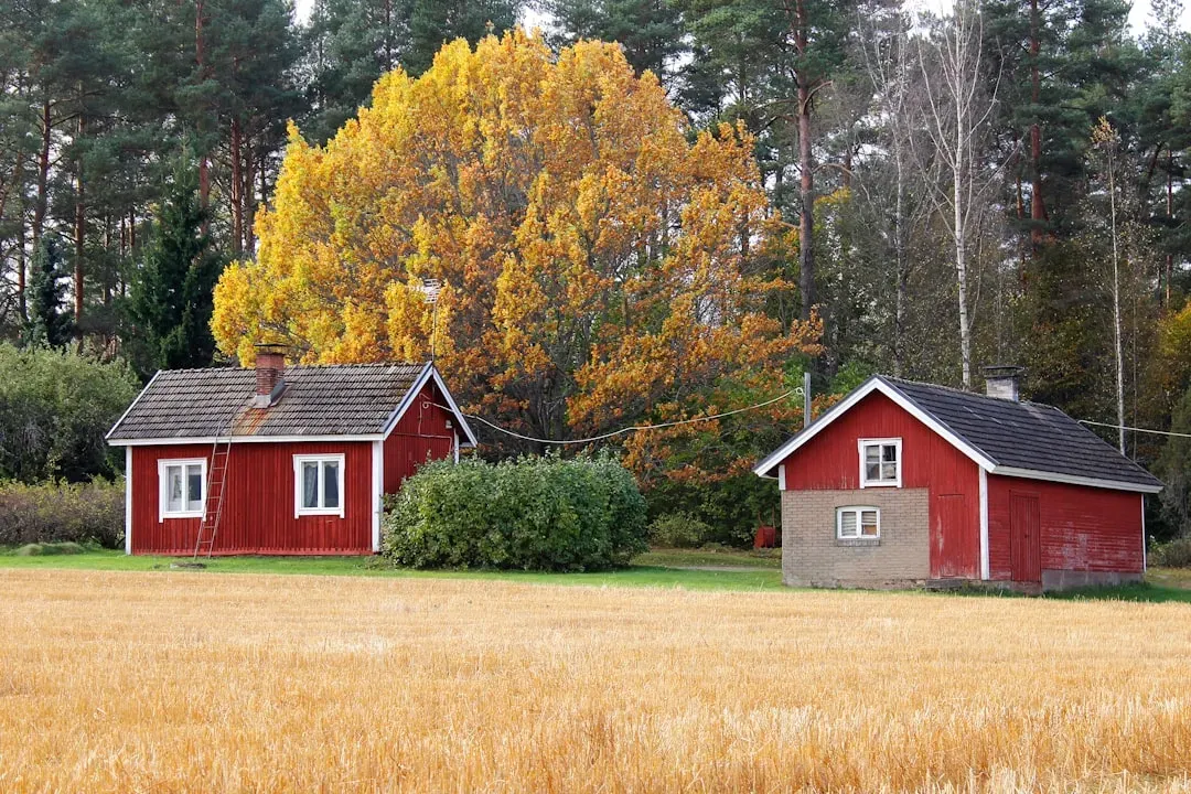 5. Finland (Image Credits: Unsplash)