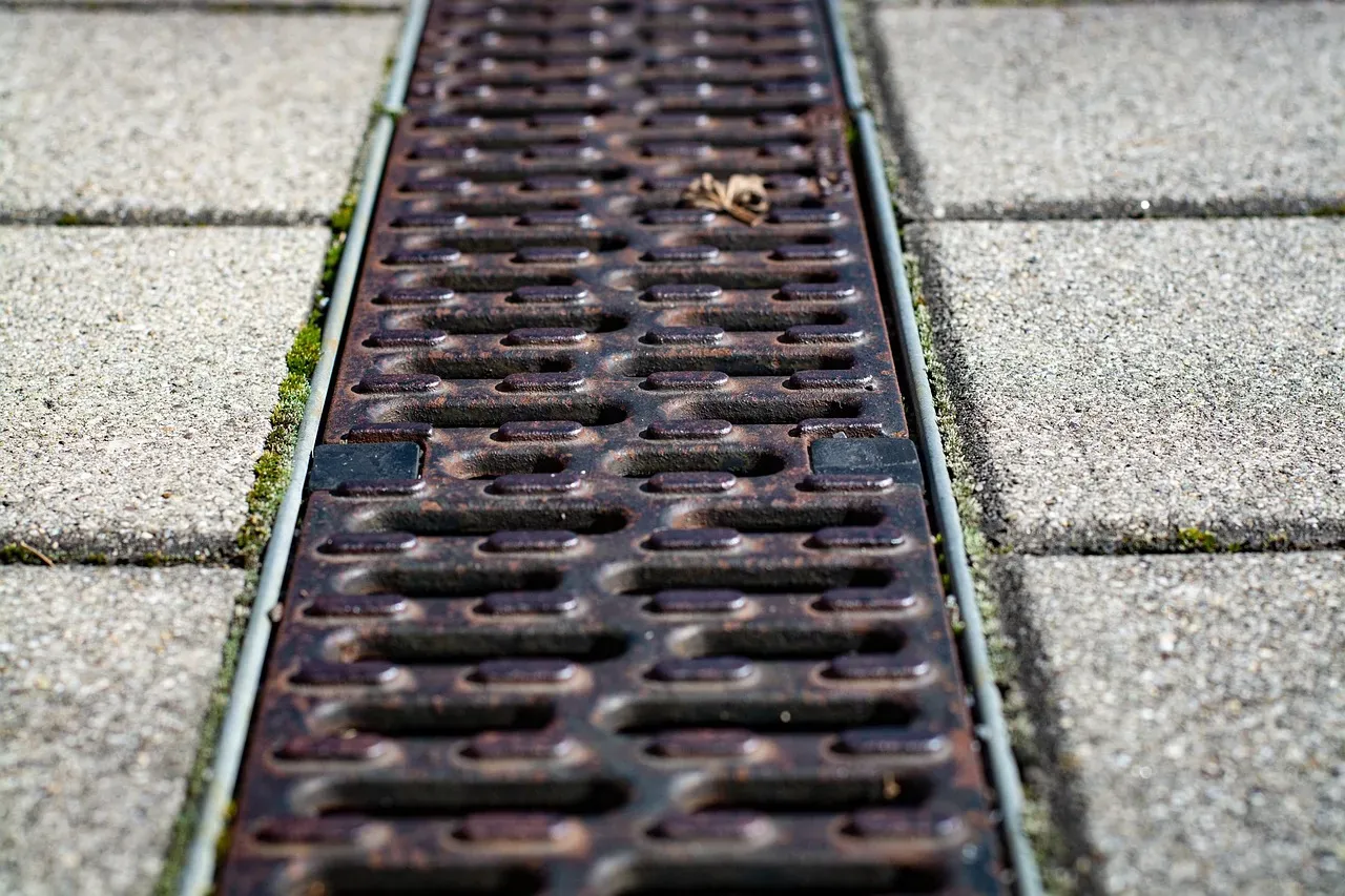 Cleaning gutters before they clog (Image Credits: Pixabay)