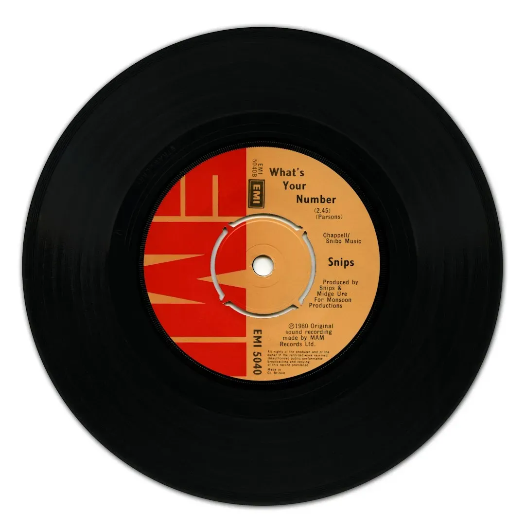 Playing Vinyl Records (Image Credits: Unsplash)