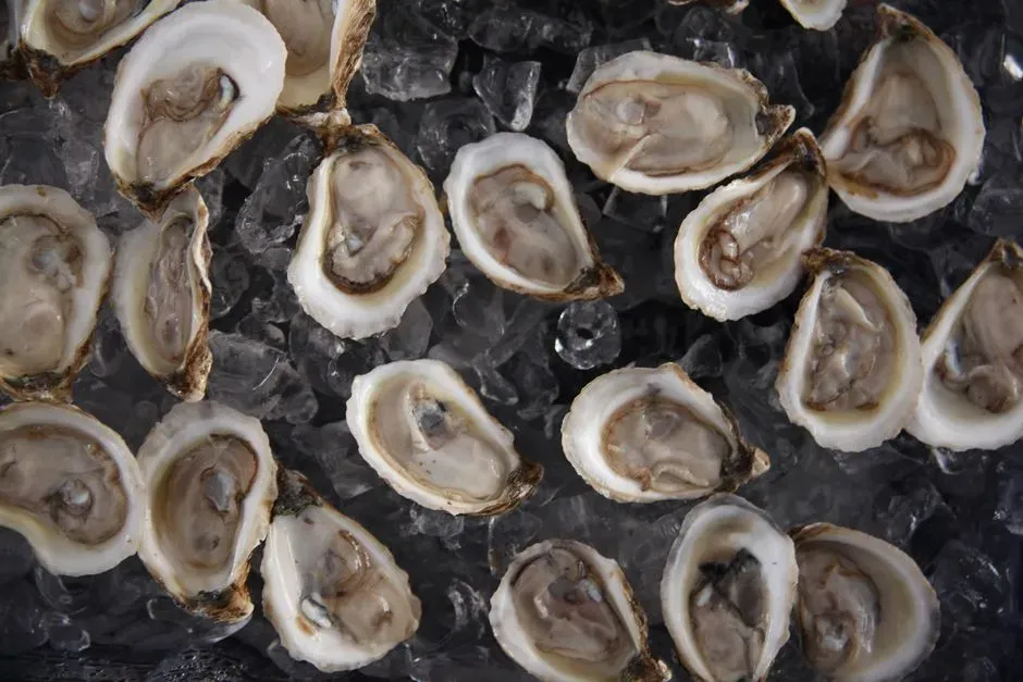 8. Raw Oysters at an Unfamiliar Venue (Image Credits: Pexels)