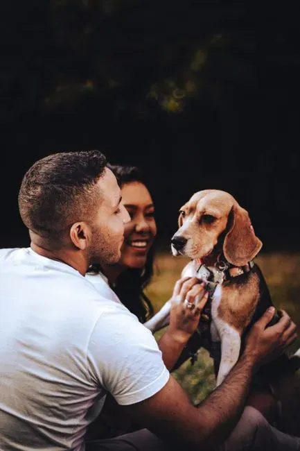 8. Adopting a pet together as an early test run (Image Credits: Pexels)