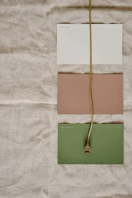Moody, Earthy Color Palettes Replacing Gray and Cool Beige (Image Credits: Pexels)