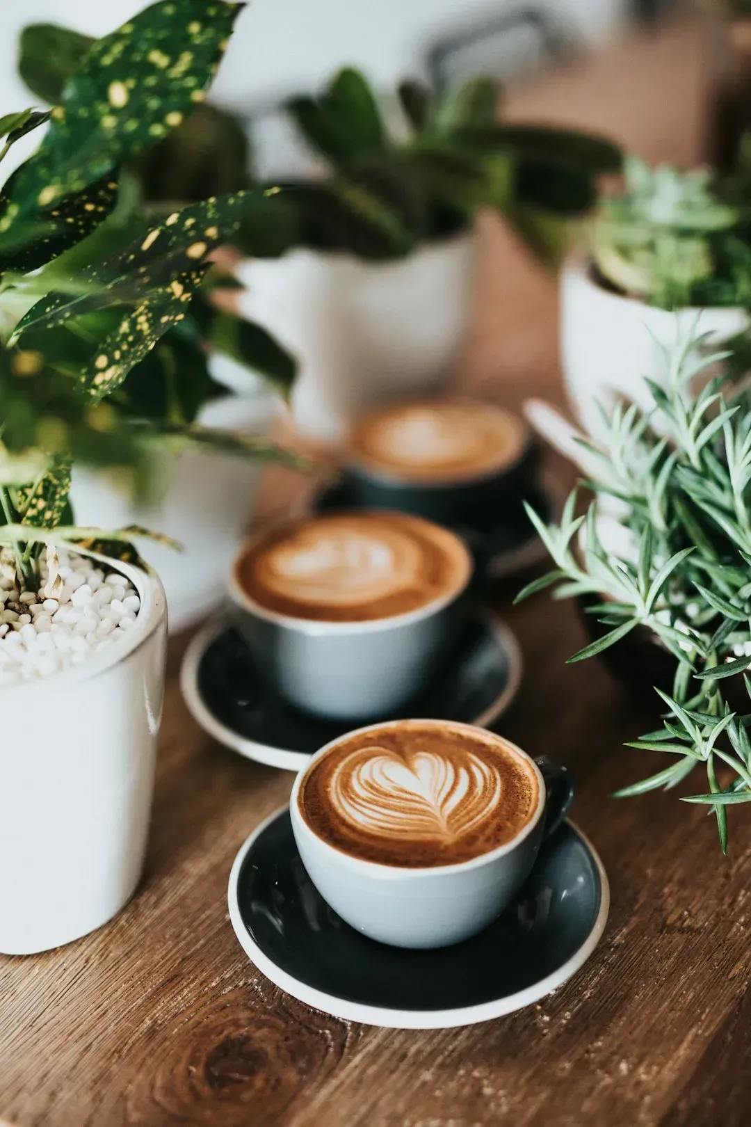 2. Daily Coffee Shop Habits (Image Credits: Unsplash)