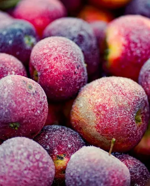 6. Frozen fruits and vegetables carried in coolers (Image Credits: Pexels)