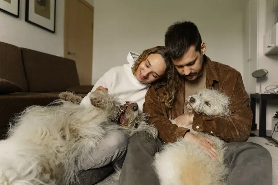 6. Pets have taken on a central role once reserved for children (Image Credits: Pexels)