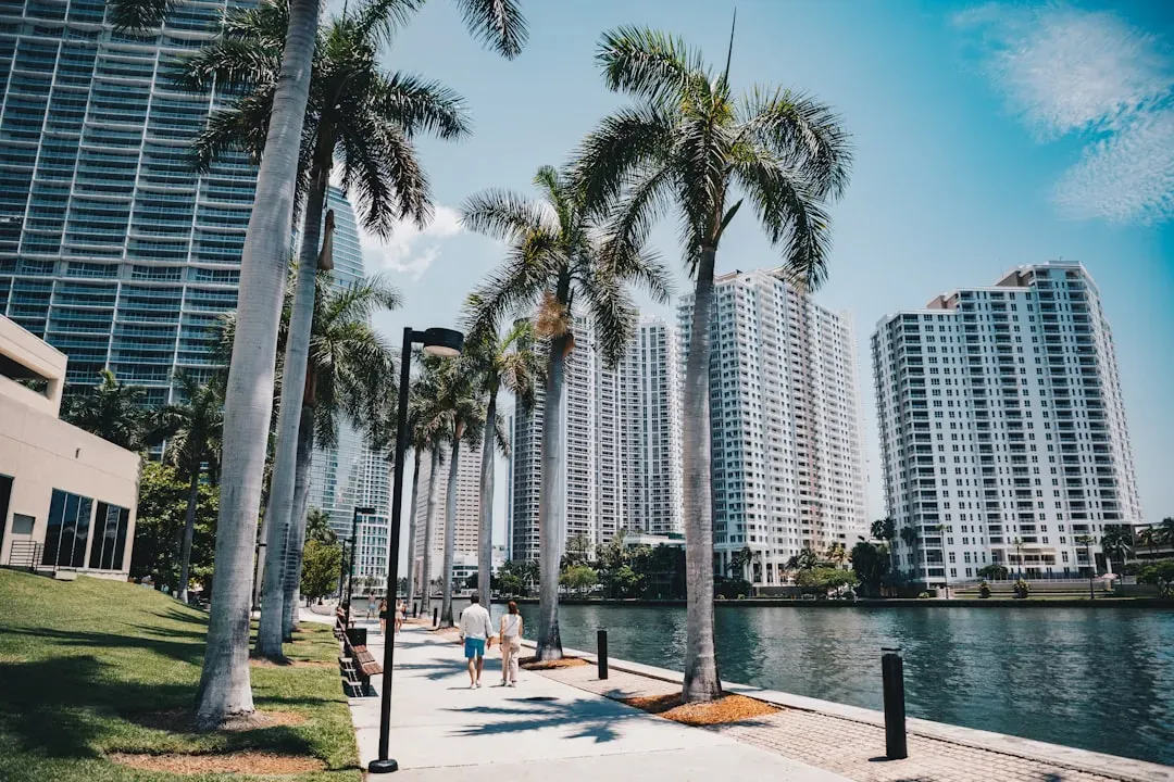 9. The Tax Picture Is More Complex Than "No Income Tax" (Image Credits: Unsplash)
