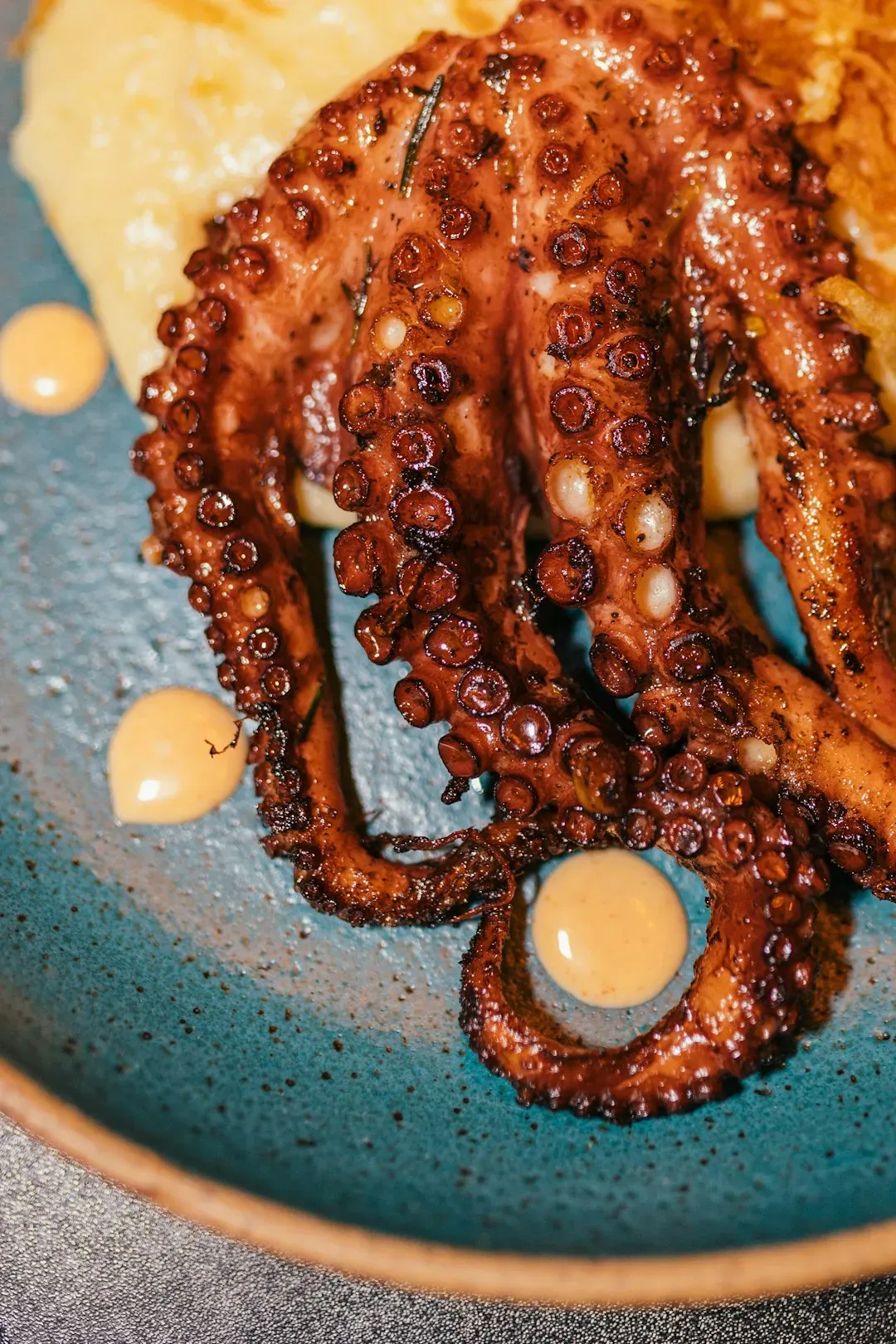 9. Octopus (Image Credits: Unsplash)