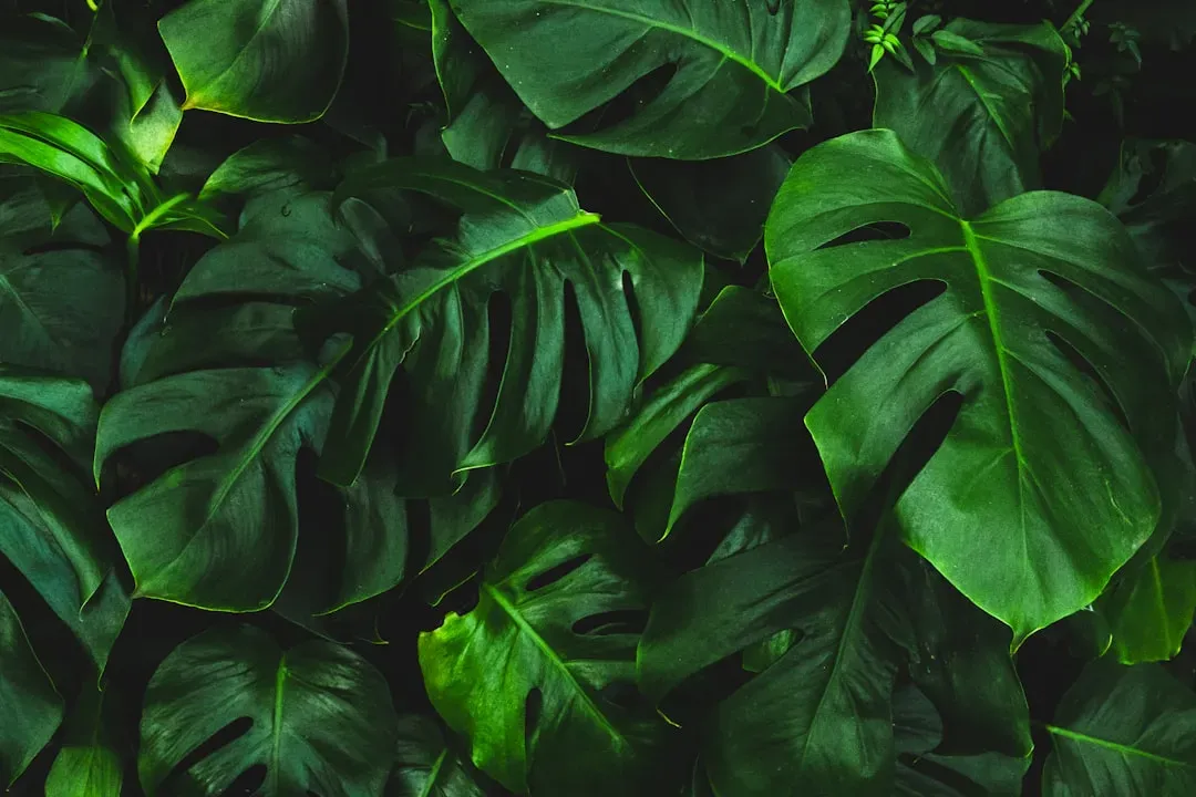 Bring in natural materials and a little greenery (Image Credits: Unsplash)