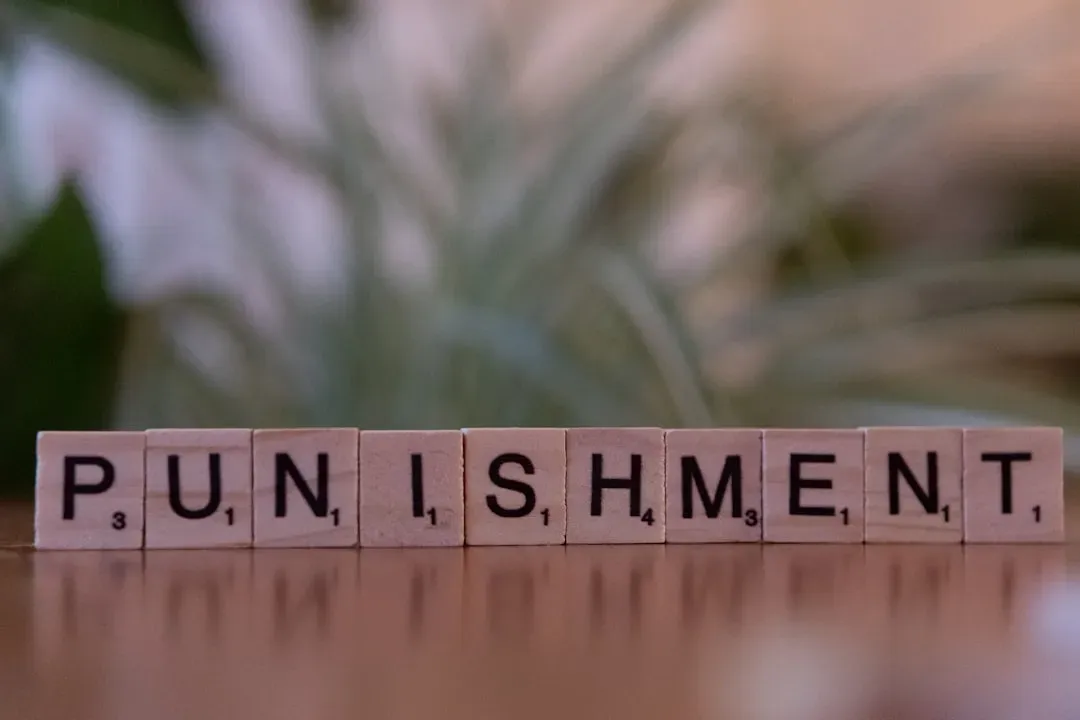 Why punishment often backfires (Image Credits: Unsplash)