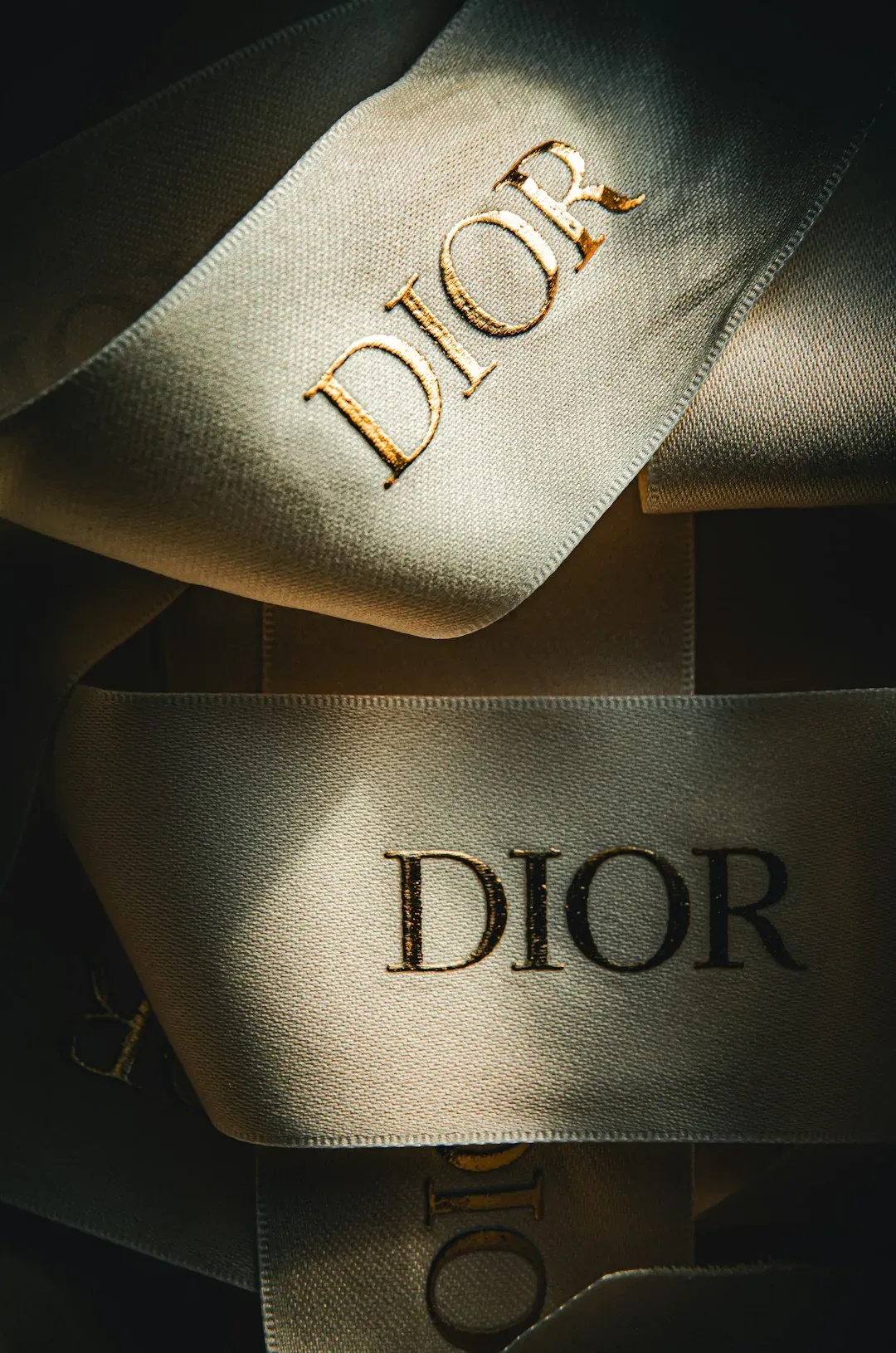 2. Logo-Heavy Designer Goods Worn All at Once (Image Credits: Unsplash)