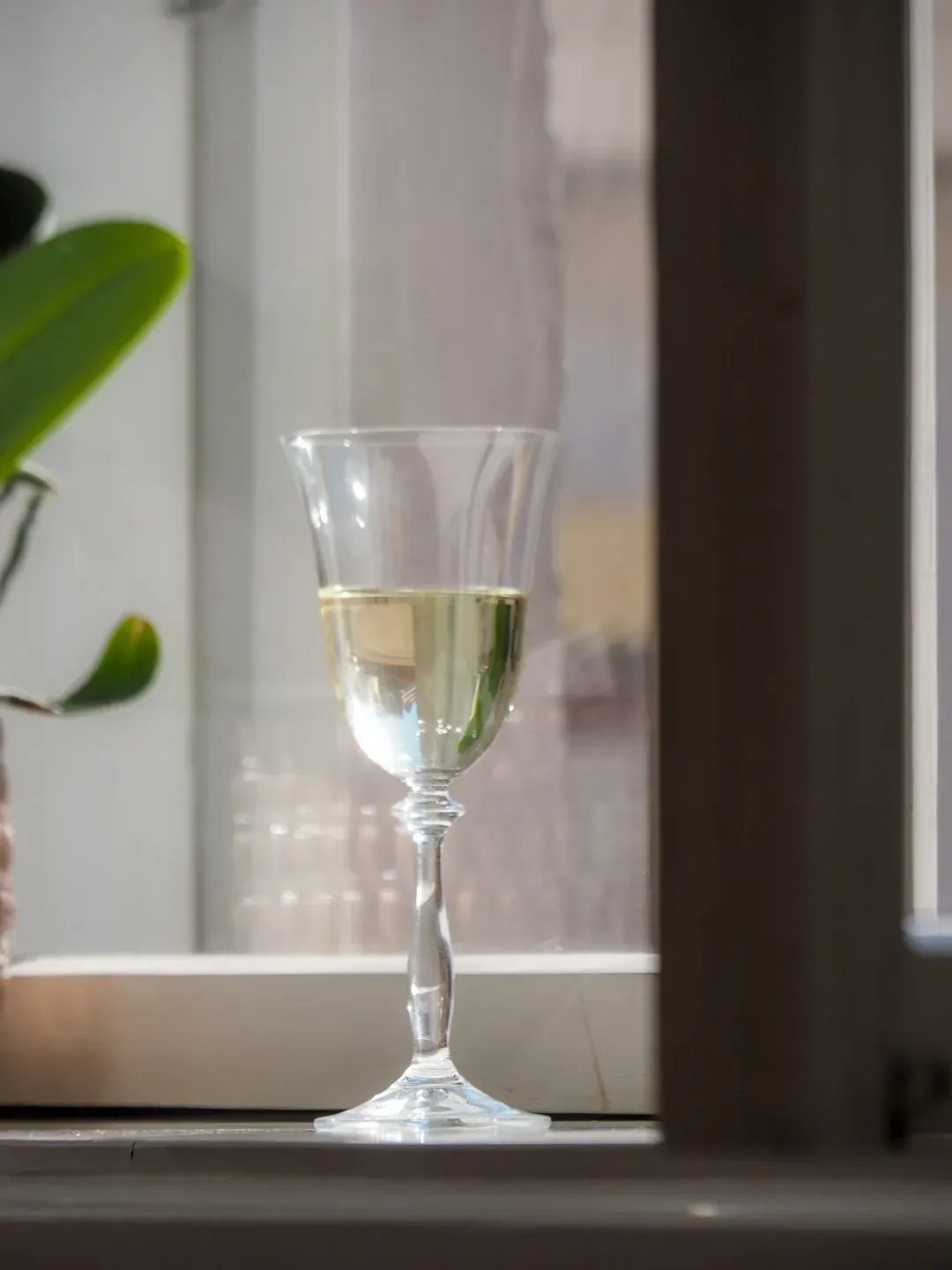 White Zinfandel: The Order That Confuses Everyone (Image Credits: Unsplash)