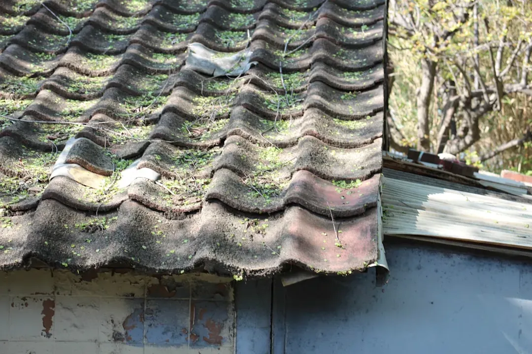 2. Aging or damaged roofing (Image Credits: Unsplash)