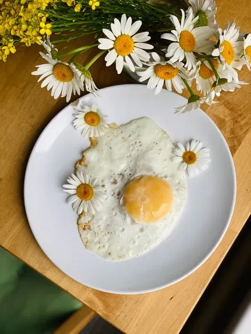 Dairy, eggs, and mushrooms for calcium and vitamin D (Image Credits: Pexels)