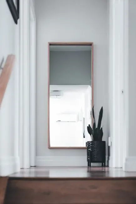 6. Add a Statement Mirror to an Entryway or Hallway (Image Credits: Pexels)
