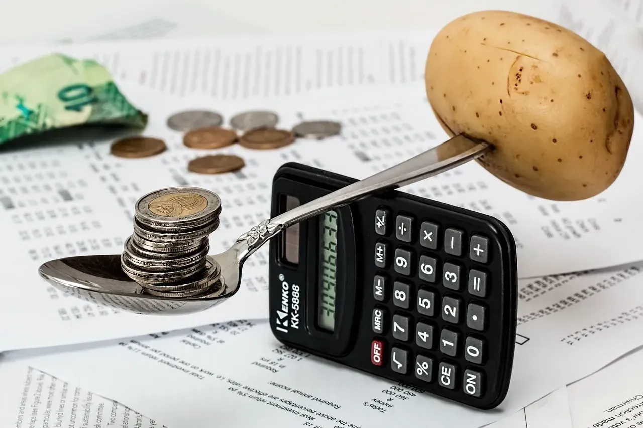 2. They Stay Well Within Their Budget Without Effort (Image Credits: Pixabay)