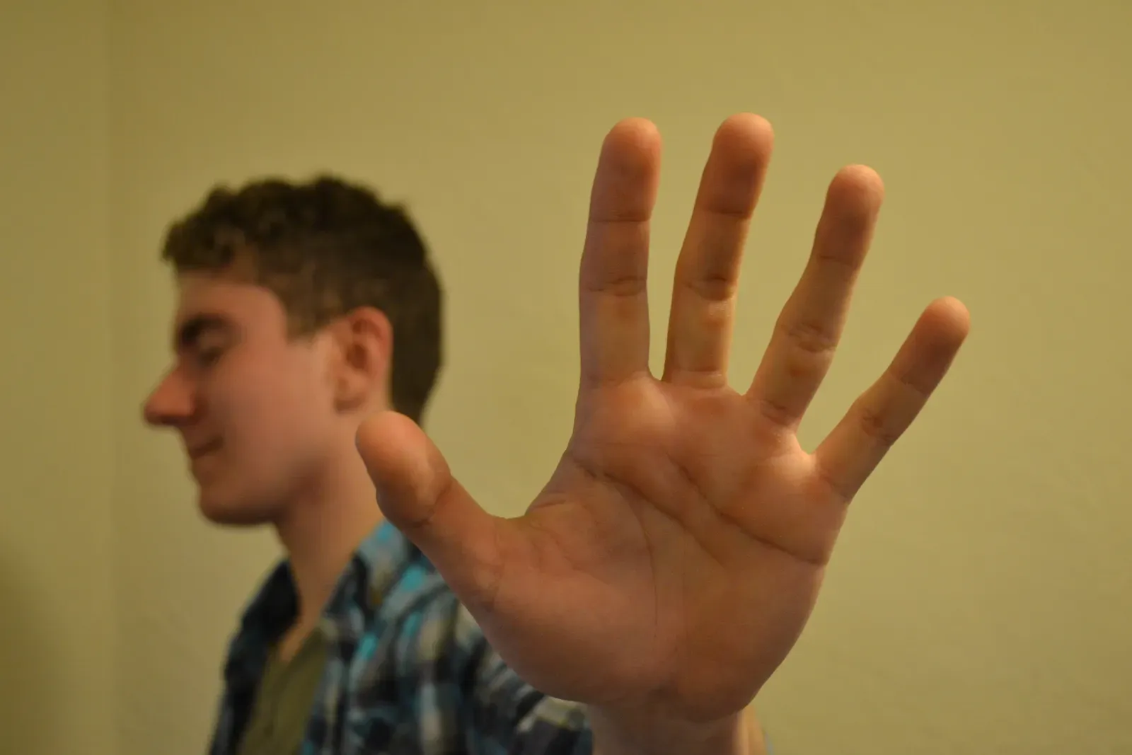 3. "Talk to the Hand" (Image Credits: By Peterlocicero, <a href="https://commons.wikimedia.org/w/index.php?curid=47856176" target="_blank" rel="noopener">CC BY-SA 4.0</a>)