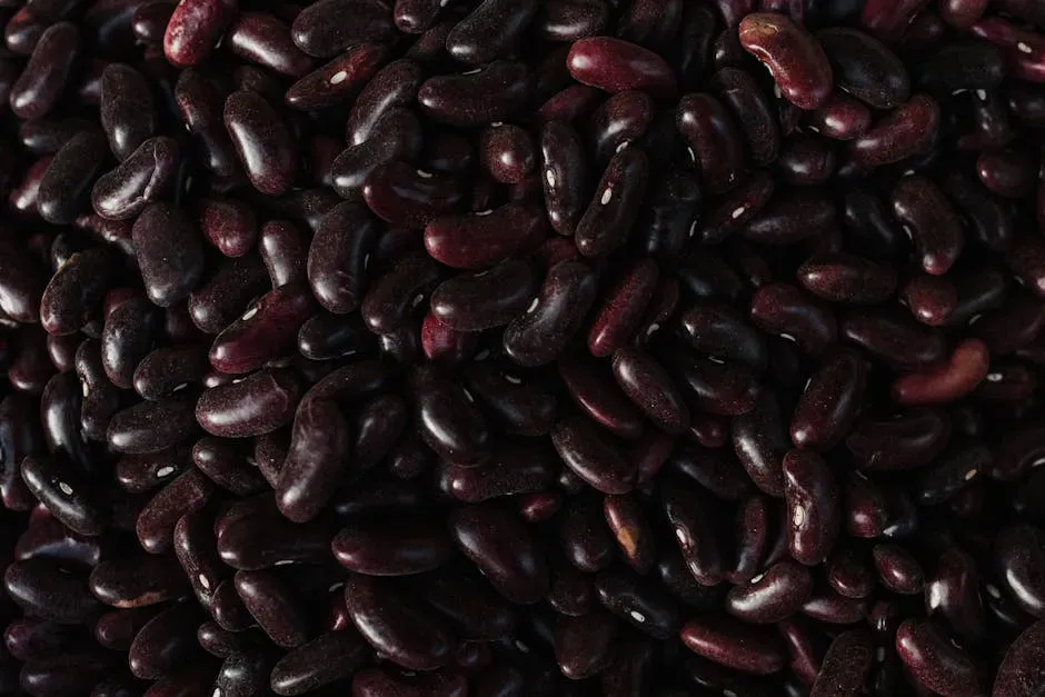 4. Black Beans: The Stable, Slow-Burn Energy Source (Image Credits: Pexels)