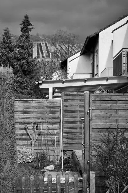 3. Fences taller than the local limit (Image Credits: Pexels)