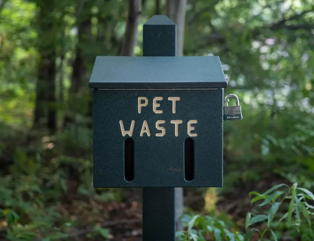 5. Letting pets dig or dirty shared spaces (Image Credits: Unsplash)
