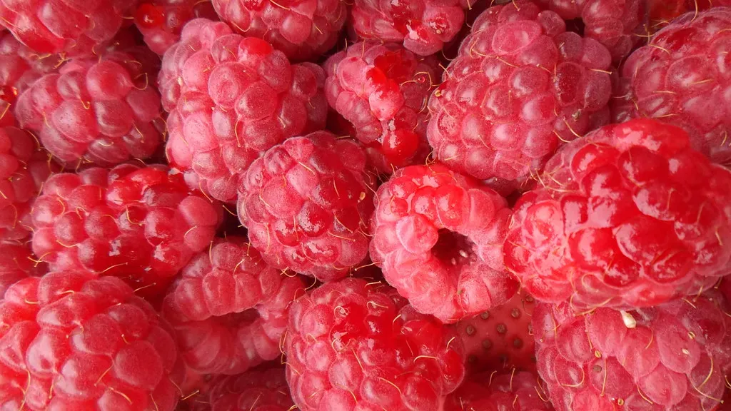 Raspberries - The Calorie-for-Calorie Champion (oatsy40, Flickr, <a href="https://creativecommons.org/licenses/by/2.0/" target="_blank" rel="noopener">CC BY 2.0</a>)