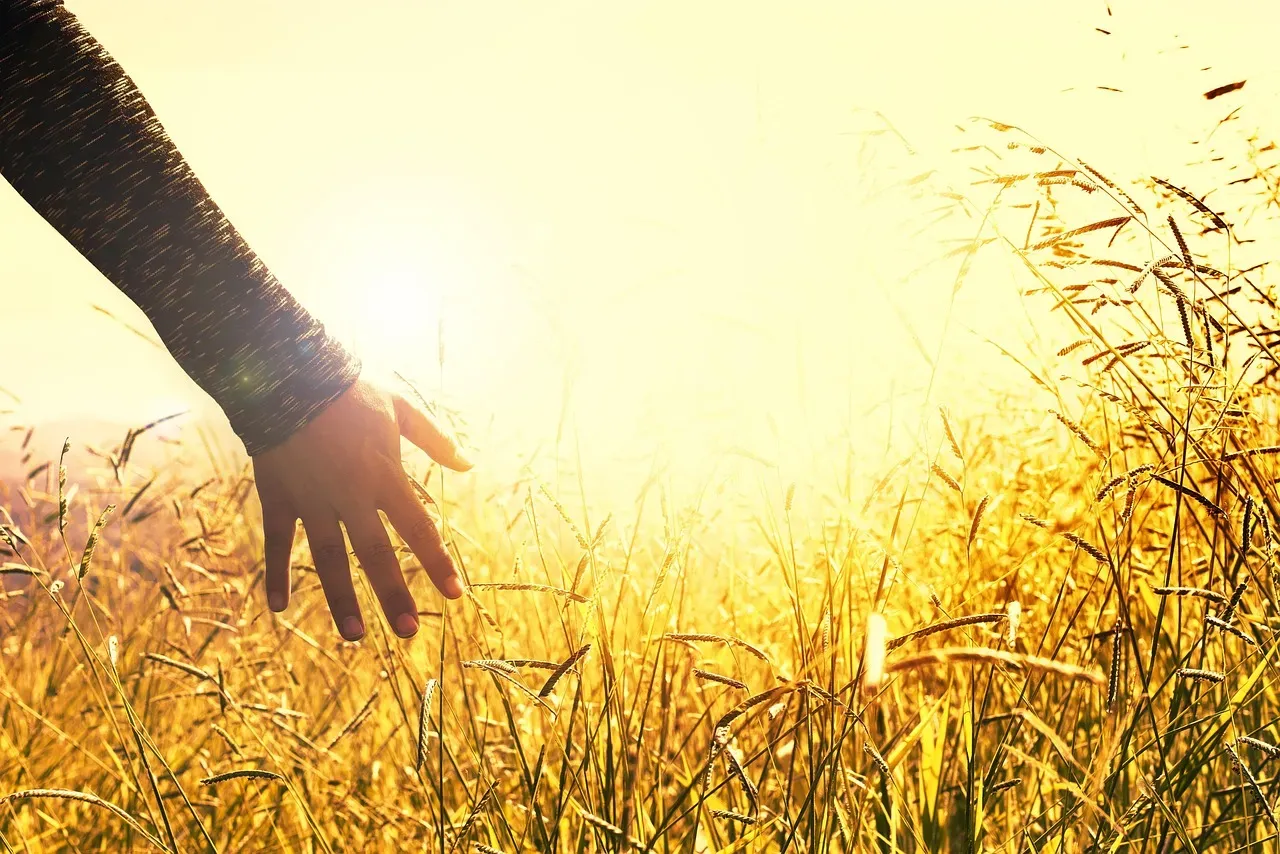 "Touch Grass" (Image Credits: Pixabay)