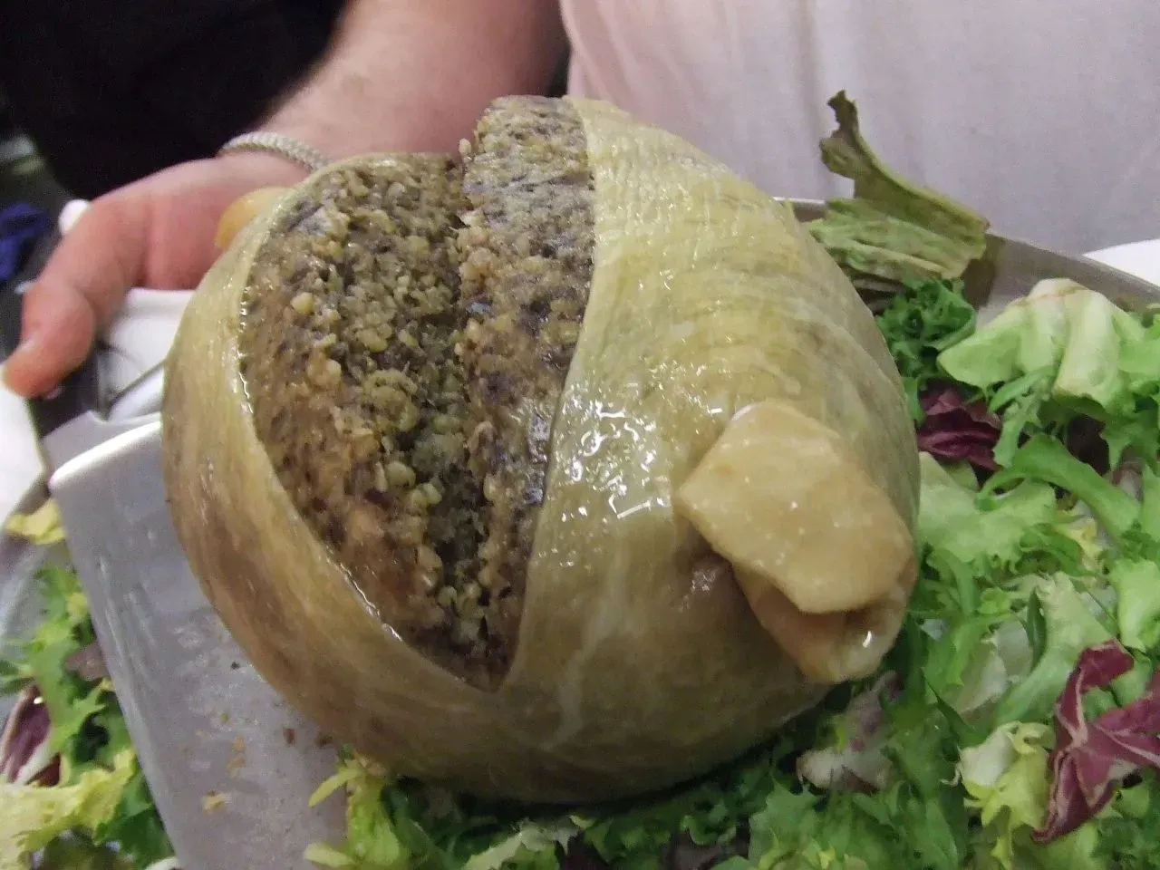 Haggis in Scotland (By Tess Watson, <a href="https://commons.wikimedia.org/w/index.php?curid=52429978" target="_blank" rel="noopener">CC BY 2.0</a>)