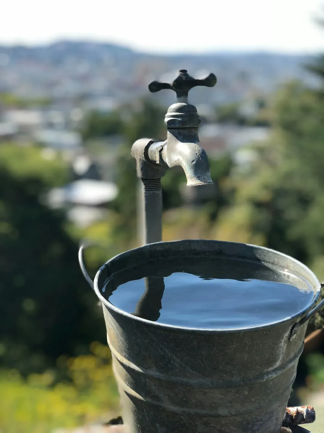 8. Standing water in buckets, planters, or old furniture (Image Credits: Unsplash)