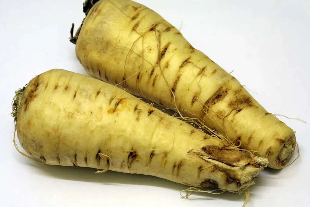 5. Parsnips (Bruno Girin, Flickr, <a href="https://creativecommons.org/licenses/by-sa/2.0/" target="_blank" rel="noopener">CC BY-SA 2.0</a>)