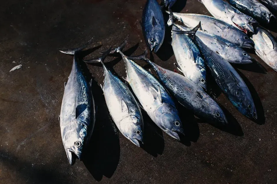 Tuna: High Protein, High Demand, and a Mercury Caveat (Image Credits: Pexels)