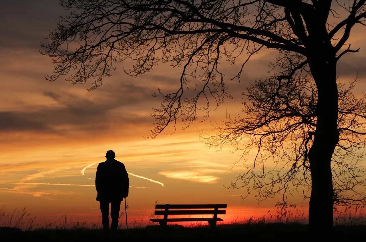 8. Loneliness Is Reshaping the Social Architecture Around Relationships (Image Credits: Pixabay)