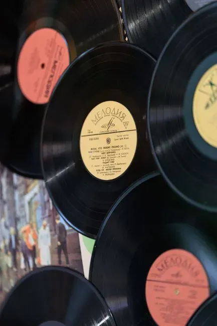 A Substantial CD or Vinyl Collection (Image Credits: Pexels)