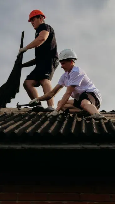 5. They never attempt complex work themselves (Image Credits: Pexels)