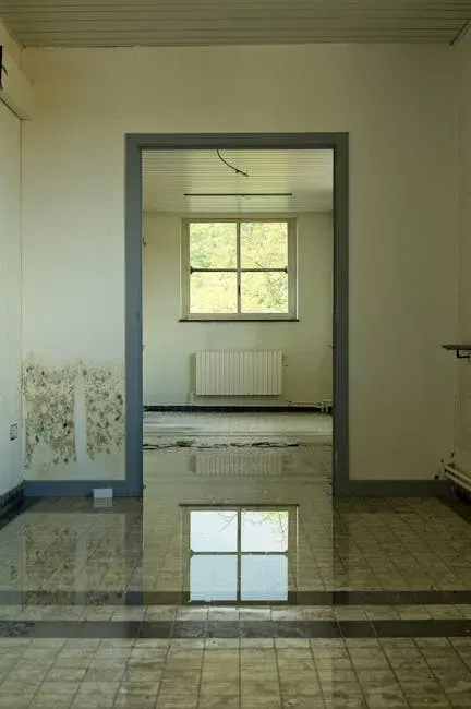 There's Damp, Mold, or a Persistent Musty Smell (Image Credits: Pexels)