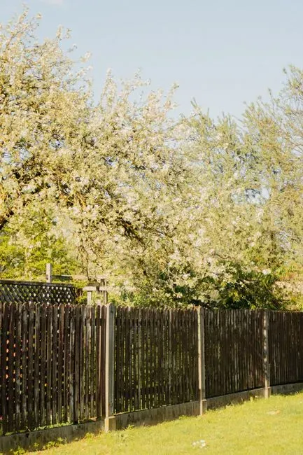 7. Explaining unwritten rules about shared walls or fences (Image Credits: Pexels)