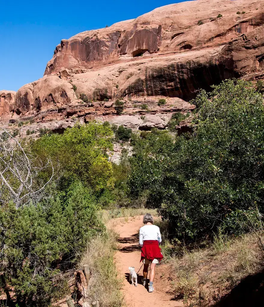 6. Colorado (Image Credits: Flickr)