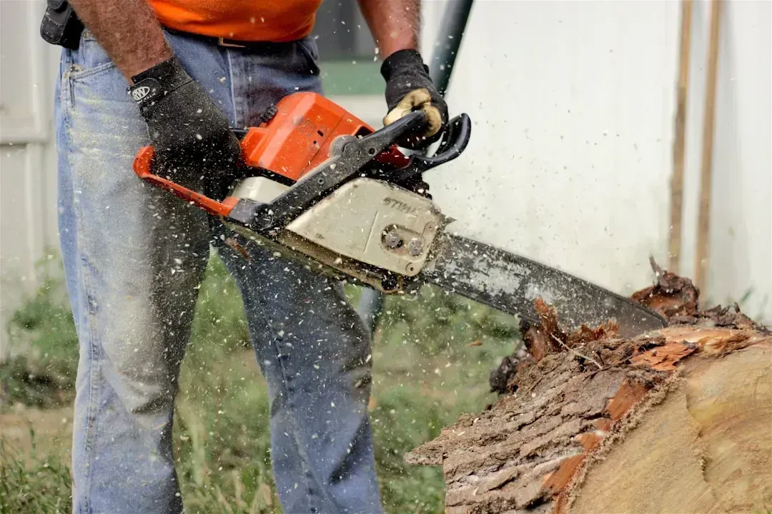 4. Gas-Powered Chainsaws (Image Credits: Unsplash)