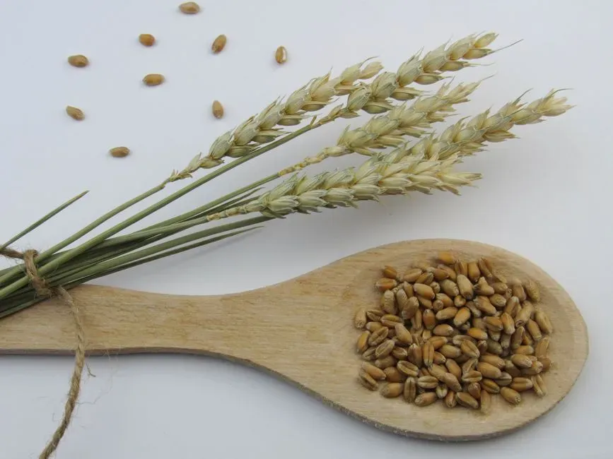 8. Farro (Image Credits: Pexels)