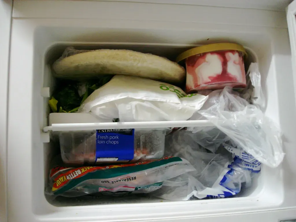 8. The Freezer, Wrapped and Camouflaged (milkisprotein, Flickr, CC BY 2.0)