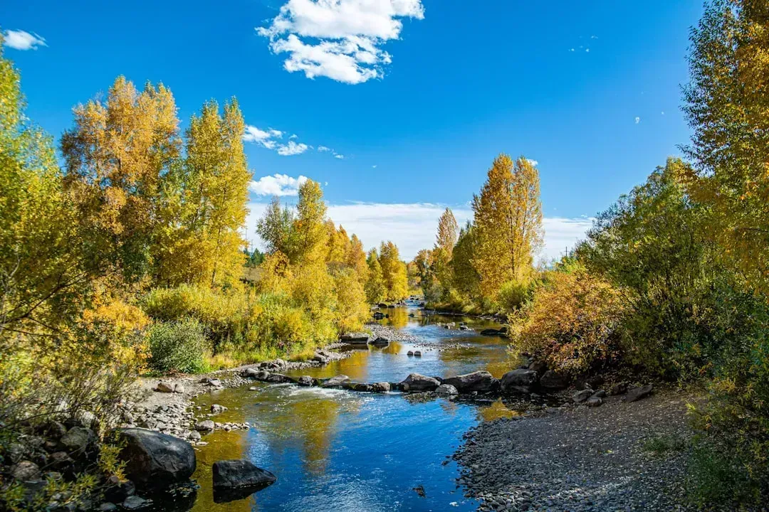 1. Steamboat Springs, Colorado (Image Credits: Unsplash)