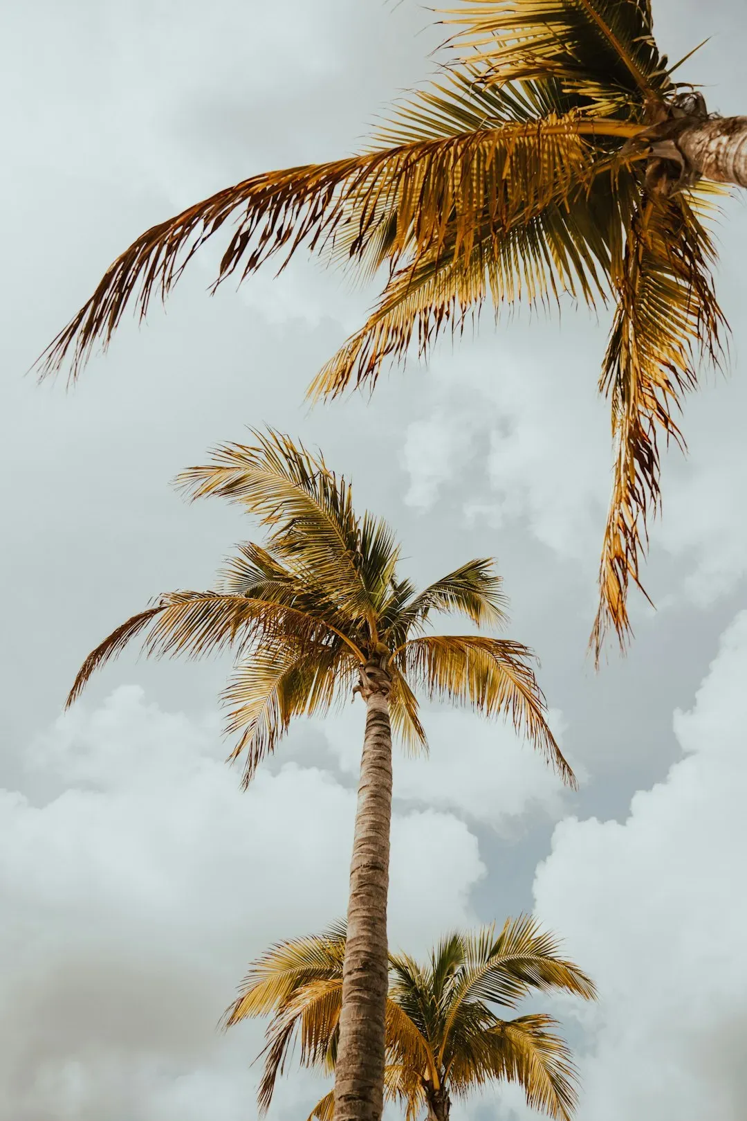 1. The Hurricane Damage Was Still Very Real (Image Credits: Unsplash)