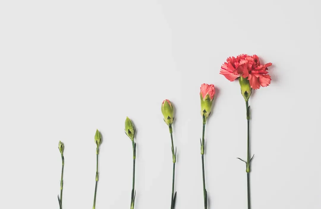 13. Measuring Growth Only by External Milestones (Image Credits: Unsplash)