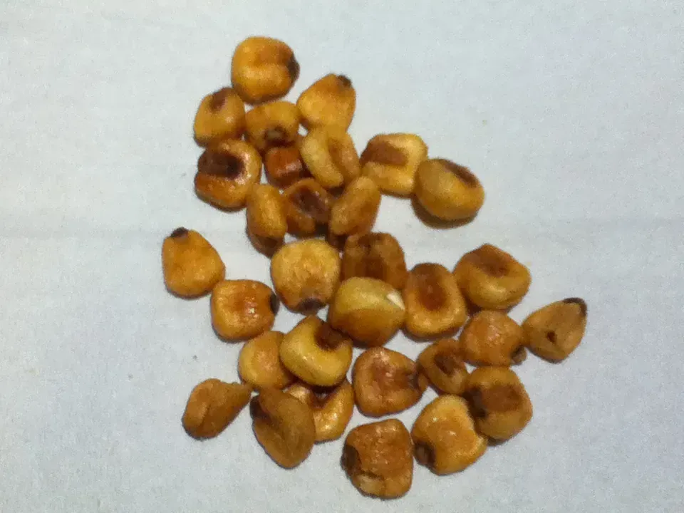 Corn Nuts (By Alexmrb, CC0)