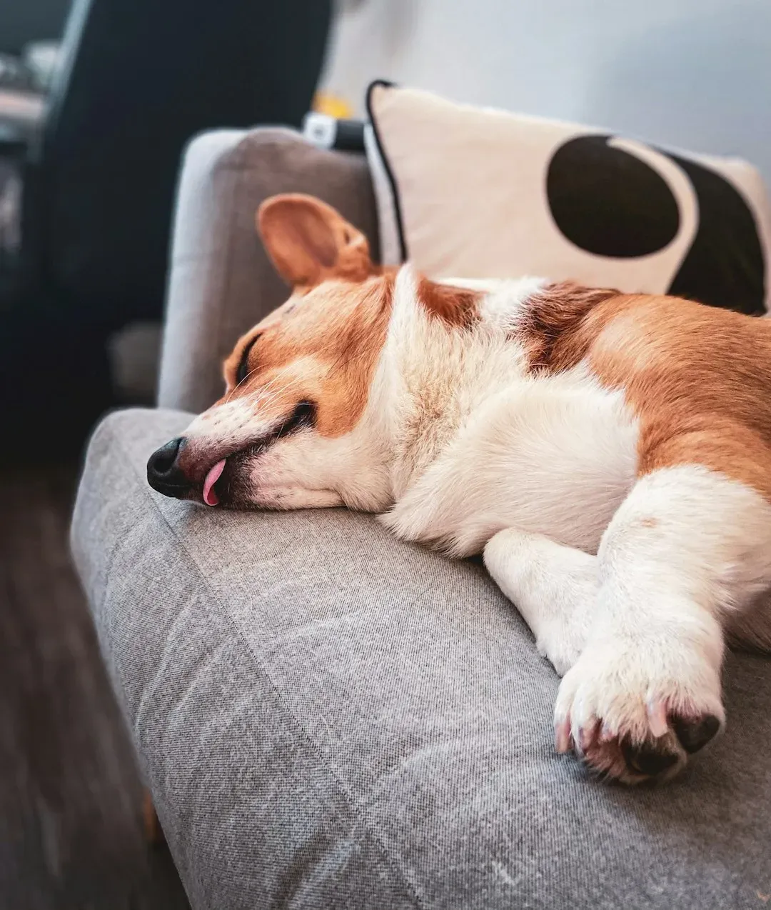 Sleeping in Fully Relaxed Positions Nearby (Image Credits: Unsplash)